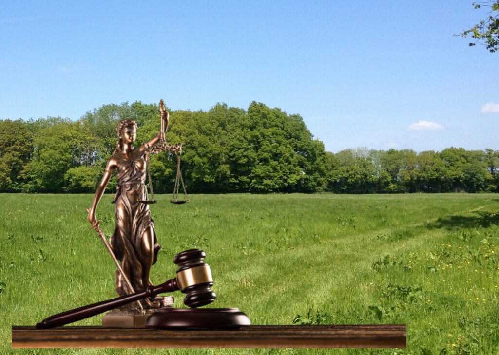 land-litigation